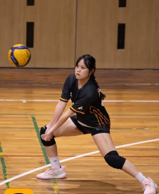 Volleyball
